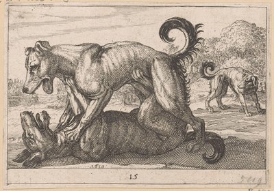 Dwa psy godowe i dwa psy bojowe Fighting Animals (kopie) (tytuł serii) autorstwa Anonymous