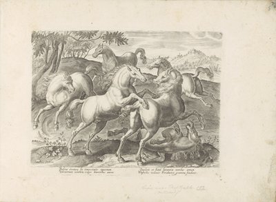 Vechtende paarden met een onder de voet gelopen paard Koń, w którym wszystkie rodzaje szlachty: wybrane zachowania koni wyróżnionych z różnych stron świata (...) (tytuł serii na obiekcie) autorstwa Anonymous