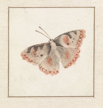 Motyl autorstwa Anonymous