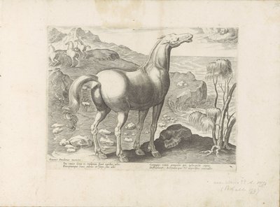 Zephyrus bevrucht een merrie Paardenrassen uit de Koninklijke stallen van Don Juan van Oostenrijk (tytuł serii) Koń, w którym wszystkie rodzaje szlachty: wybrane zachowania koni wyróżnionych z różnych stron świata (...) (tytuł serii na obiekcie) autorstwa Anonymous
