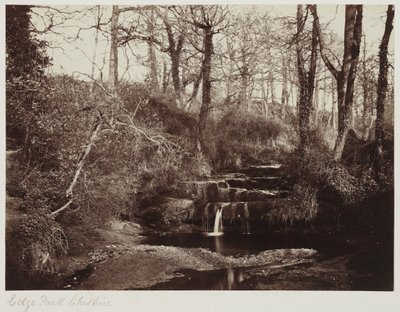 Edge Park, Cheshire, ok. 1865 r. (odbitka albuminowa ze szklanego negatywu) autorstwa Anonymous Anonymous