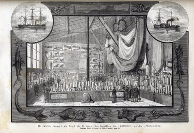 Wystawa w Muzeum Historii Naturalnej w Paryżu zbiorów powstałych podczas rejsów - Wyprawy naukowe Robotnika i Talizmanu w latach 1880 autorstwa Anonymous Anonymous