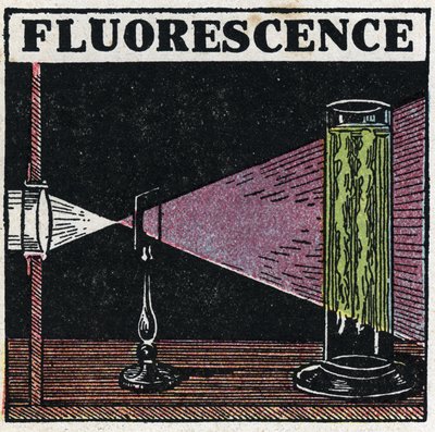 Fluorescencja: dowód fluorescencji ciał. Anonimowa ilustracja z 1925 r. Ze zbiorów prywatnych. autorstwa Anonymous Anonymous