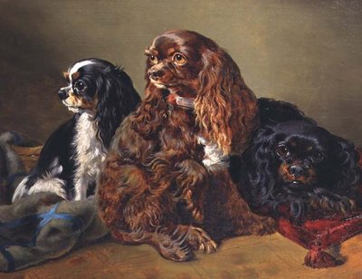 King Charles Spaniele autorstwa Anonymous Anonymous