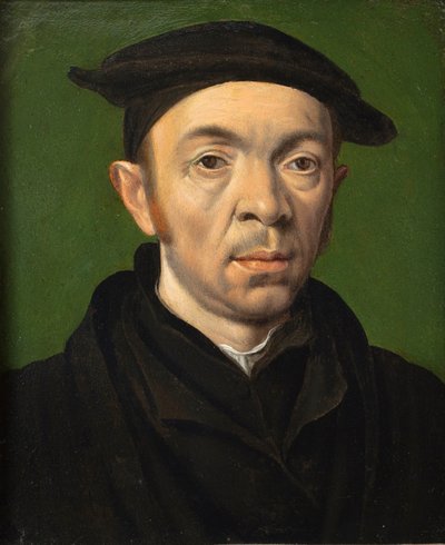 Portret męski, ok. 1550 (olej na miedzi) autorstwa Anonymous Anonymous