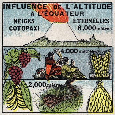 Meteorologia: wpływ wysokości na klimat. Anonimowa ilustracja z 1925 r. Ze zbiorów prywatnych. autorstwa Anonymous Anonymous