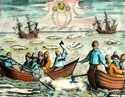 Scena polowania niedźwiedzia polarnego w Kanadzie. Grawerunek z XVIII wieku Kolekcja prywatna autorstwa Anonymous Anonymous