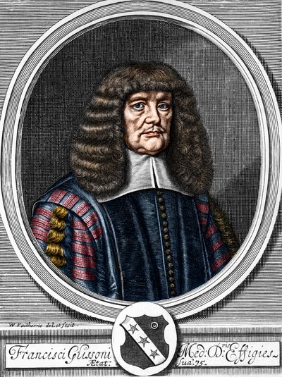 Portret Francisa Glissona (1599-1677) Brytyjskiego lekarza, anatoma. autorstwa Anonymous Anonymous