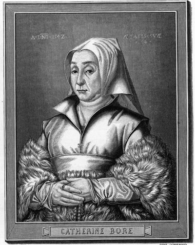Portret Kathariny von North autorstwa Anonymous Anonymous