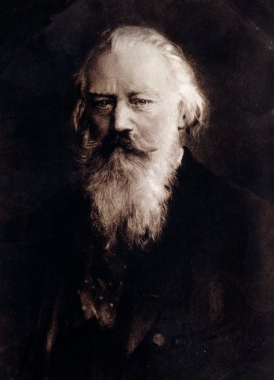 Portret angielskiego kompozytora Johannesa Brahmsa (1833-1897) Rysunek. 19 wiek. Prywatna kolekcja autorstwa Anonymous Anonymous