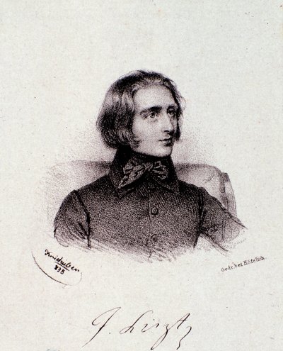 Portret węgierskiego kompozytora Franciszka Liszta (1811-1886) Rycina. 19 wiek. Prywatna kolekcja mediolańska autorstwa Anonymous Anonymous