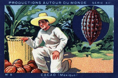 Produkcje na całym świecie: Kakao w Meksyku. Chromolitografia z 1933 roku w „Albumie Josepha-Milliata”” autorstwa Anonymous Anonymous