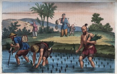 Plantacja ryżu, chiny (la rice) - grawer z „” Zwyczajów i Tradycji Wszystkich Ludów Wszechświata. Czyli Historia rządu, praw, milicji, religii wszystkich narodów od czasów najdalszych do dnia dzisiejszego „1856 autorstwa Anonymous Anonymous