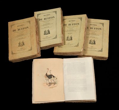 Wszystkie dzieła Buffona (1707 - 1788) - kolekcja prywatna autorstwa Anonymous Anonymous