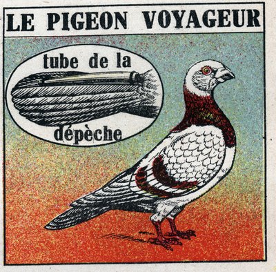 Poczta: Gołąb podróżnika. Anonimowa ilustracja z 1925 r. Ze zbiorów prywatnych. autorstwa Anonymous Anonymous