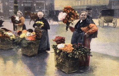 Impreza chryzantemowa: handlarz chryzantemami na ulicy. Rytownictwo. Jedna z gazet „Le petit parisien”” z dnia 20.11.1910. Prywatna kolekcja. autorstwa Anonymous Anonymous