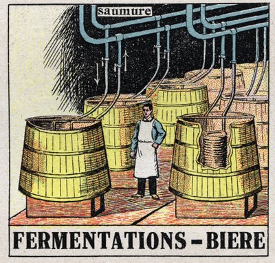 Przemysł zimny: fermentacje górne do produkcji piwa. Anonimowa ilustracja z 1925 r. Ze zbiorów prywatnych. autorstwa Anonymous Anonymous