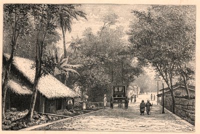 Widok ulicy z Kolombo na Cejlonie (Sri Lanka). Grawer w „Misjach katolickich w XIX wieku” Louis-Eugene (Louis Eugene) Louvet. prywatna kolekcja. autorstwa Anonymous Anonymous