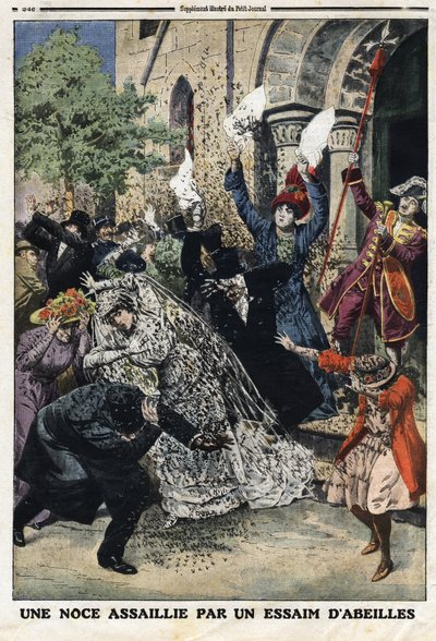 Wesele zostało zaatakowane przez rój pszczół. Grawerowanie w „Le Petite Journal”, 28.07.1912 r. Prywatna kolekcja. autorstwa Anonymous Anonymous