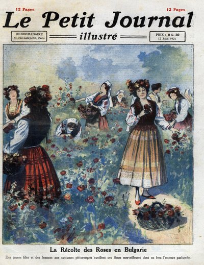Młode kobiety w tradycyjnych bułgarskich strojach zbierają róże do produkcji wody różanej. Ilustracja zaczerpnięta z „Le petit journal illustrious”” z 12.06.1921 r. Prywatna kolekcja autorstwa Anonymous Anonymous