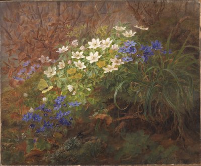 Zawilce autorstwa Anthonie Christensen
