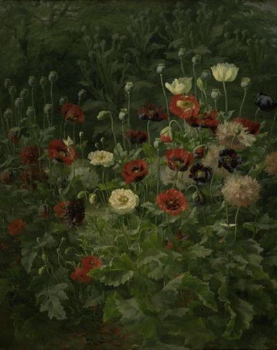 Maki autorstwa Anthonie Christensen