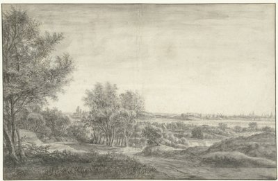 Widok z wydm Haarlem z ruinami Domu w Kleve autorstwa Anthonie Waterloo