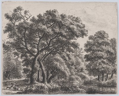 Łowca kaczek, XVII wiek. autorstwa Anthonie Waterloo