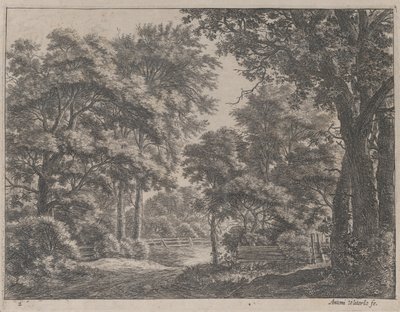 Przycięte Gaje, XVII wiek. autorstwa Anthonie Waterloo