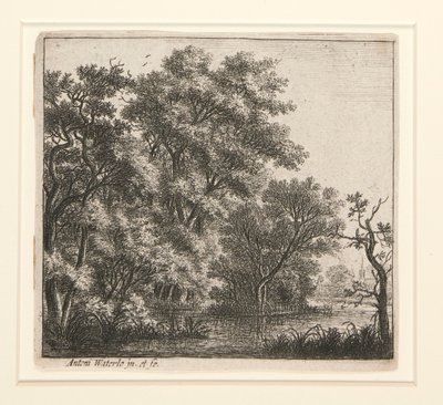 Zalesiona wyspa autorstwa Anthonie Waterloo