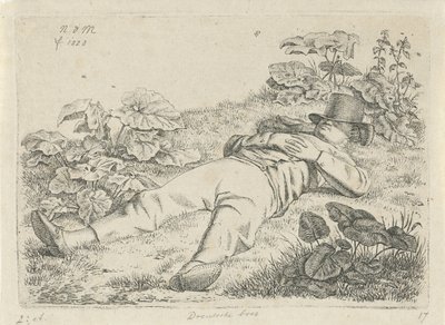 Leżący mężczyzna w trawie Rolnik Drentsche (tytuł na obiekcie) autorstwa Anthonie Willem Hendrik Nolthenius de Man
