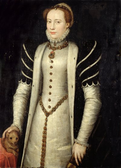 Portret szlachcianki ze szczeniakiem, 1555 (olej na desce dębowej) autorstwa Anthonis Mor