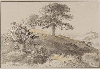 Sussex: Near St Marthas, Albury (pióro, pędzel, atrament i toaleta na papierze) autorstwa Anthony Devis