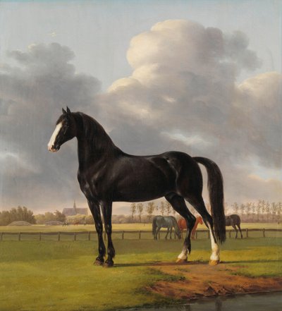 Kłusak Adriaana van der Hoopa „De Vlugge” (Szybki) na łące Twardy kłusak De Vlugge autorstwa Adriaana van der Hoopa na łące autorstwa Anthony Oberman