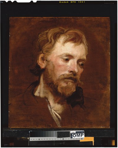 Brodaty mężczyzna, gabinet autorstwa Anthony van Dyck