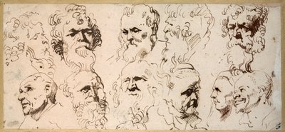 Jedenaście badań głowy (długopis i brązowy tusz na papierze) autorstwa Anthony van Dyck