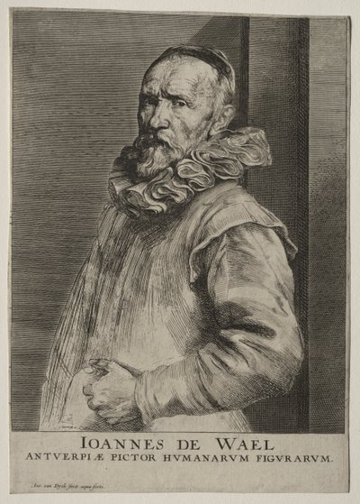 Portret Johna de Wild Nevers autorstwa Anthony van Dyck