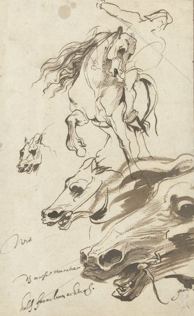 Studium jeźdźca i głowy konia, 1620-1 (pióro i wc na papierze) autorstwa Anthony van Dyck