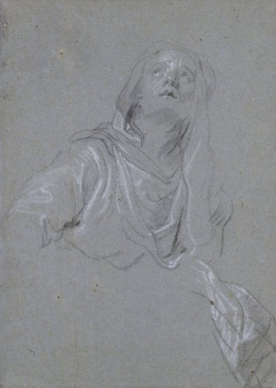 Studium Madonny patrzącej w górę autorstwa Anthony van Dyck