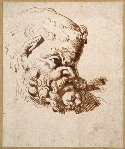 Studium antycznej głowy Silenusa (pióro i atrament na papierze) autorstwa Anthony van Dyck