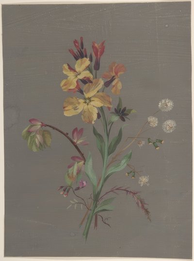 Kwiatowy wzór autorstwa Antoine Berjon