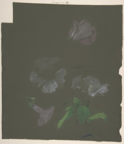 Kwiatowy wzór autorstwa Antoine Berjon