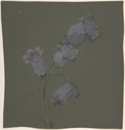 Spray Canterbury Bells autorstwa Antoine Berjon