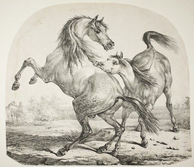 Walka dzikich koni, ok. 1820 r. autorstwa Antoine Charles Horace Vernet