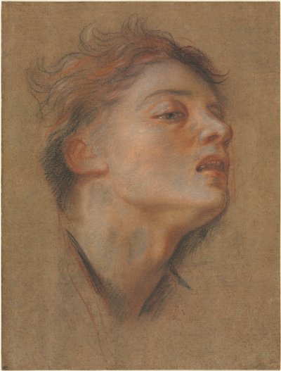 Głowa młodego mężczyzny autorstwa Antoine Coypel