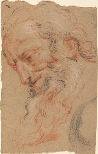 Głowa starca autorstwa Antoine Coypel