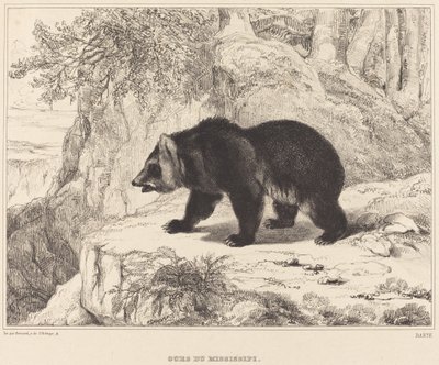 Miś Missisipi autorstwa Antoine Louis Barye