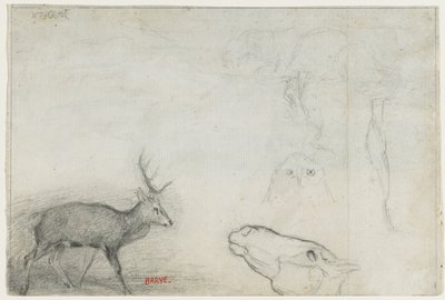 Badania nad zwierzętami (verso) autorstwa Antoine Louis Barye