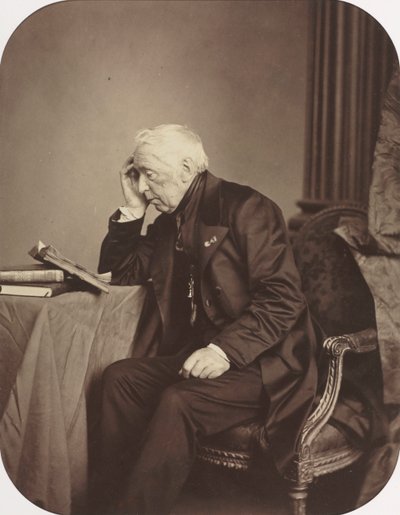 Nieznany mężczyzna opiekun autorstwa Antoine Samuel Adam Salomon