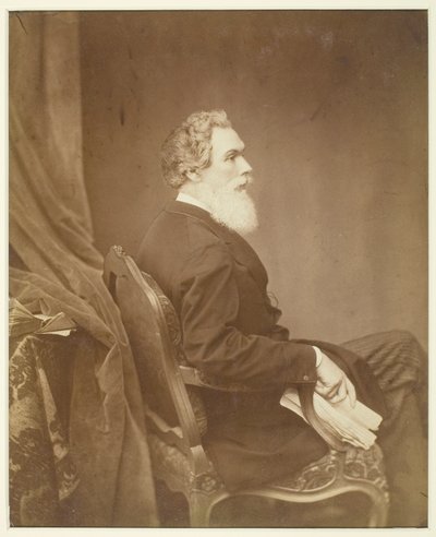Bez tytułu (mężczyzna na krześle, profil) autorstwa Antoine Samuel Adam Salomon